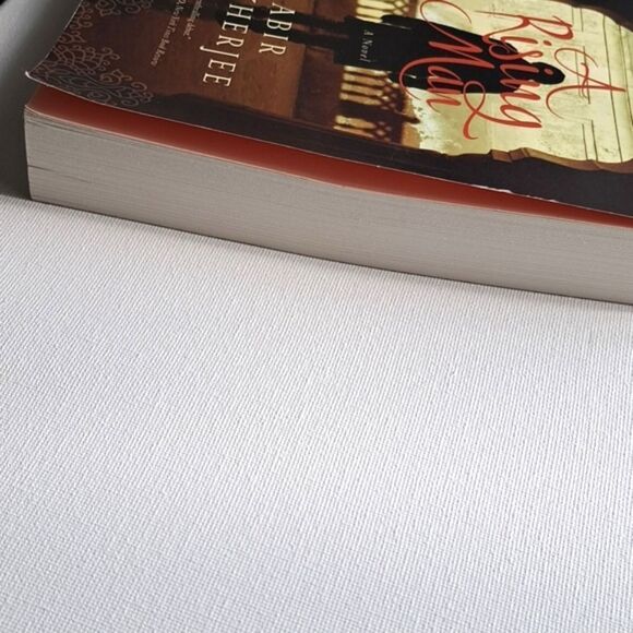 A Rising Man By Abir Mukherjee - Picture 4 of 5